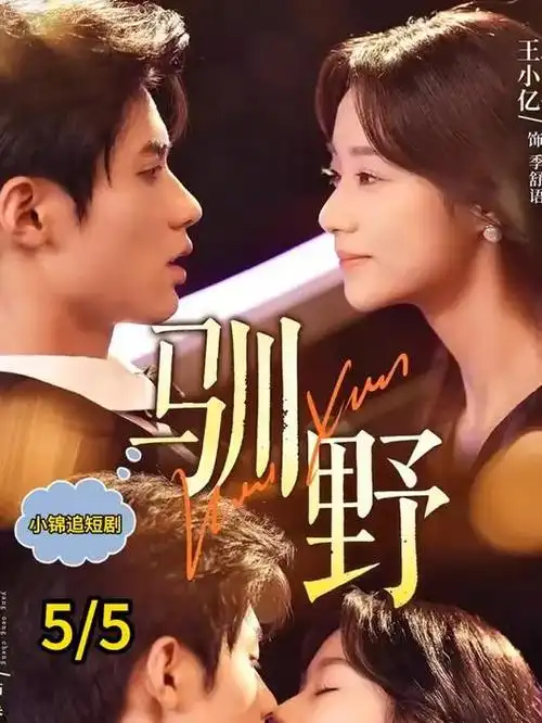 周末不打烊 综艺在线观看